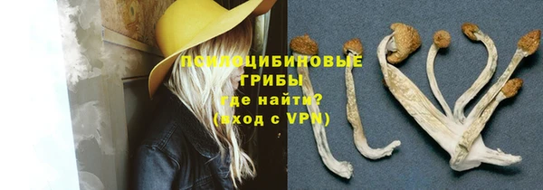 гашик Абинск