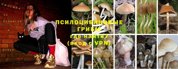 прущая мука Алзамай