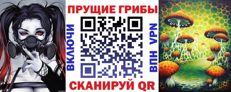 даркнет сайт Ядрин Галлюциногенные грибы MAGIC MUSHROOMS